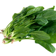 Spinach