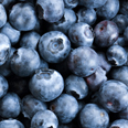 藍莓
